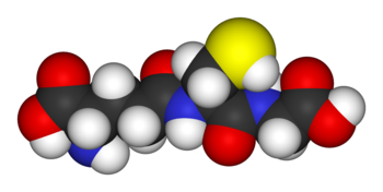 Space-filling model of the antioxidant metabolite glutathione. The yellow sphere is the redox-active sulfur atom that provides antioxidant activity, while the red, blue, white, and dark grey spheres represent oxygen, nitrogen, hydrogen, and carbon atoms, respectively.