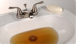 tannins in water